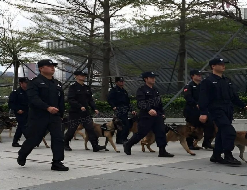 警犬护卫(图1)